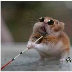 Meet your Posher, Brent